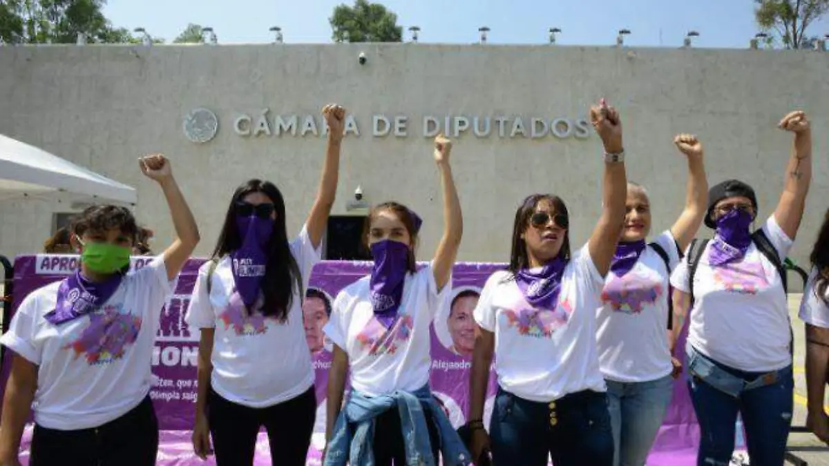 Grupos feministas se manifiestan Camara Diputados